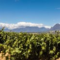 ZAF WC CW Paarl 2016NOV17 SpiceRoute 011 : 2016, 2016 - African Adventures, Africa, November, South Africa, Southern, Western Cape, Paarl, Cape Winelands, Spice Route